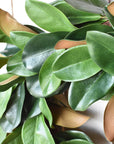 27" Faux Magnolia Leaf Wreath