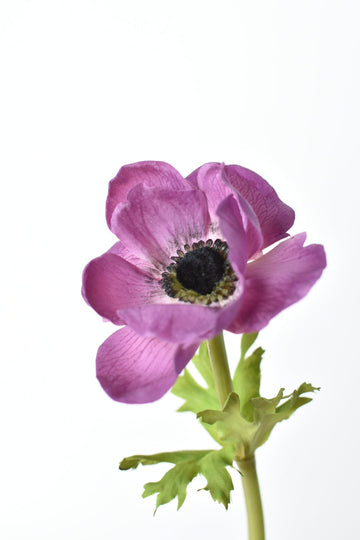 15.5" Faux Purple Real Touch Anemone Stem