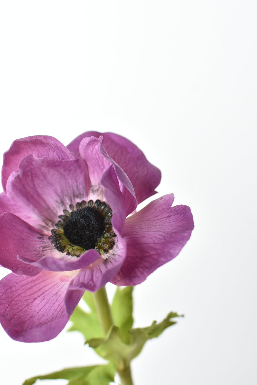 15.5" Faux Purple Real Touch Anemone Stem
