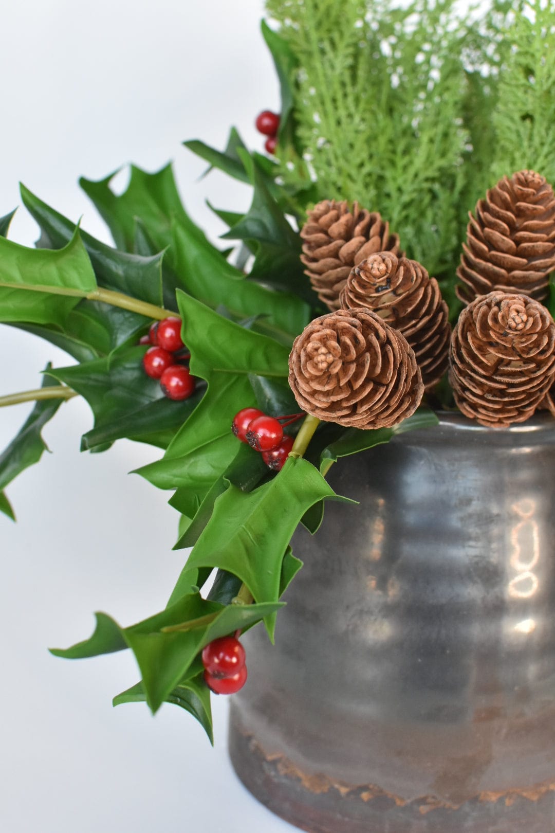 Holly + Cedar + Pinecone - Curated Bundle