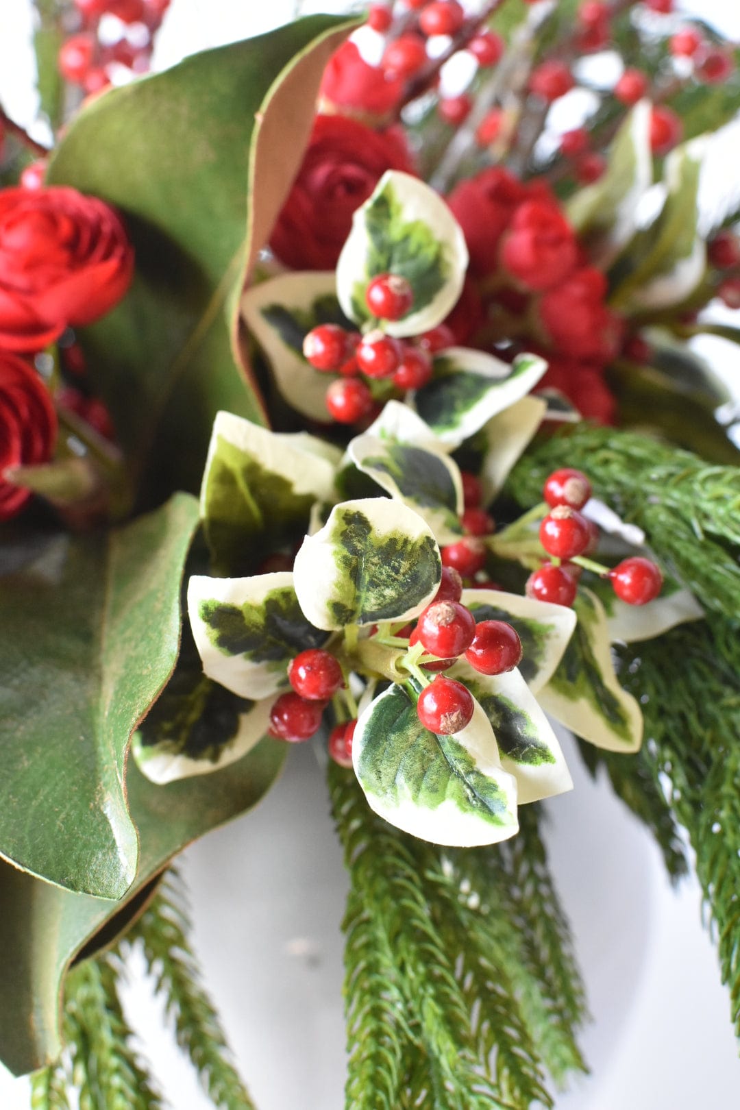 Red Berry + Norfolk Pine + Magnolia - Curated Bundle