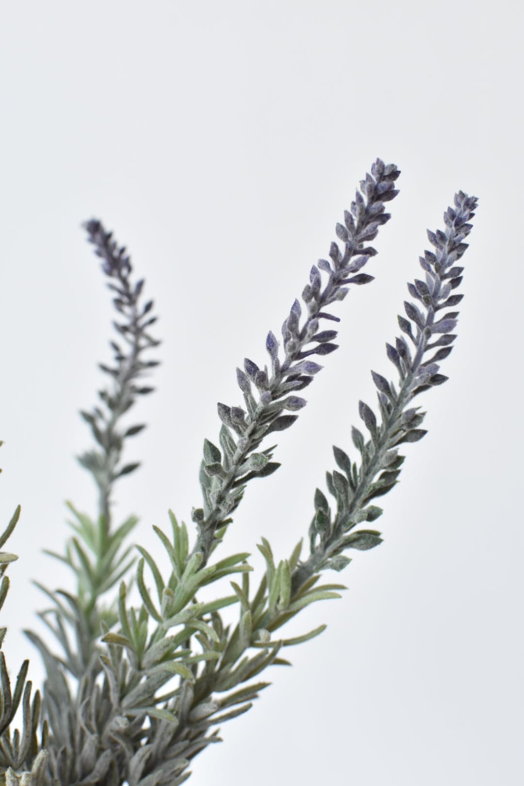 15" Faux Realtouch Lavender Bundle