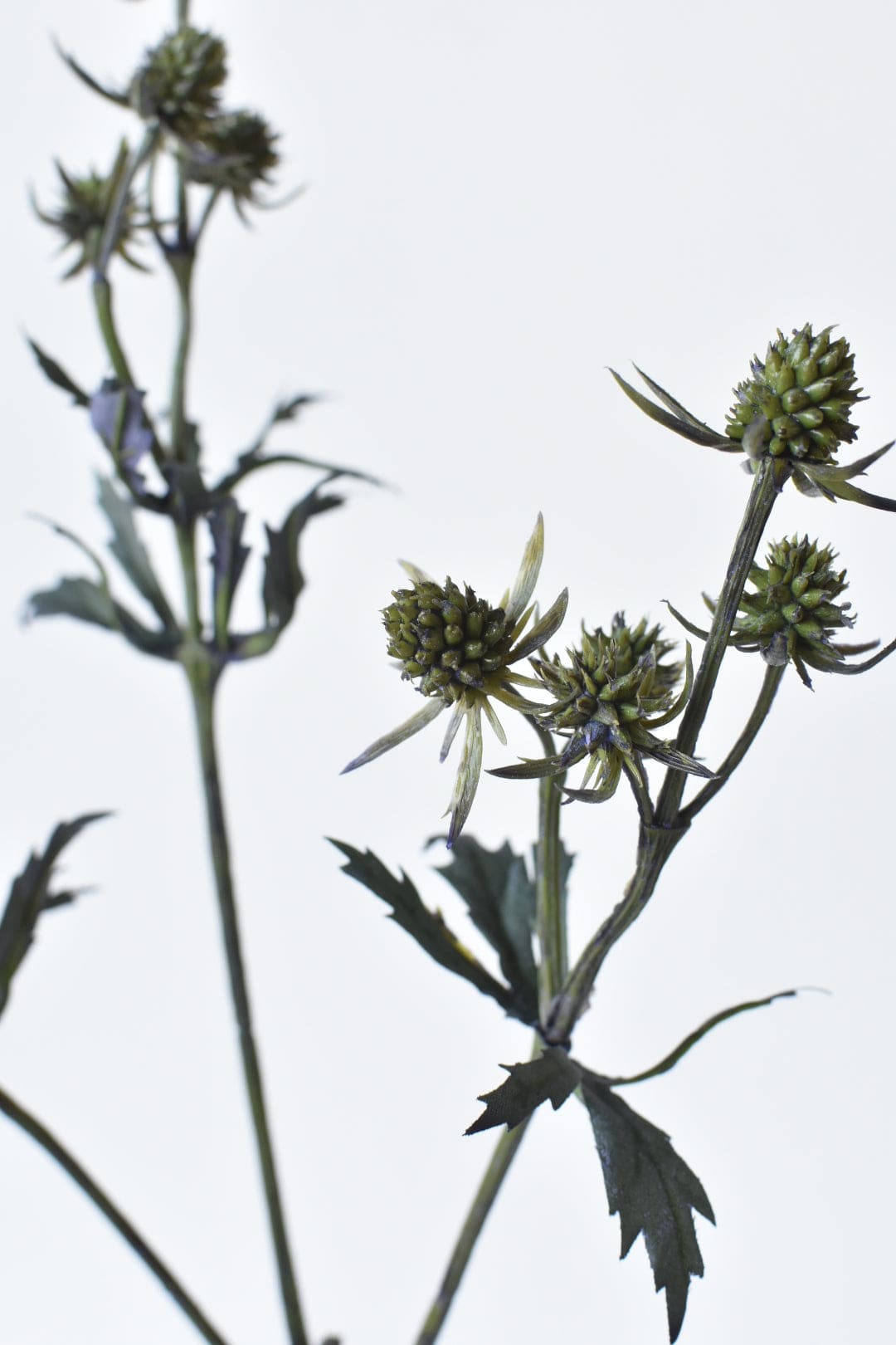 25" Faux Thistle Stem Blue/Green