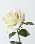 21.5" Faux Dirty Cream Rose Bud Stem