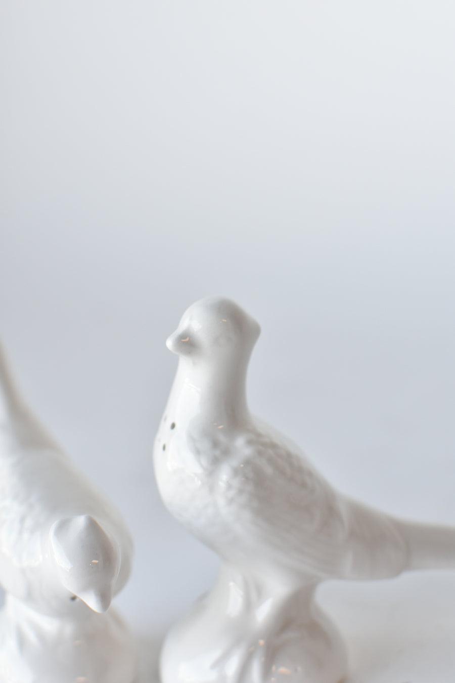 Ceramic Pheasant Salt and Pepper Shakers