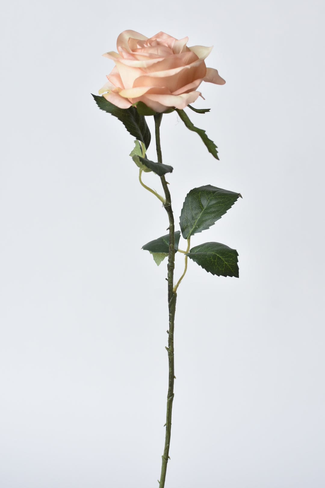 21.5" Faux Subtle Apricot Rose Bud Stem