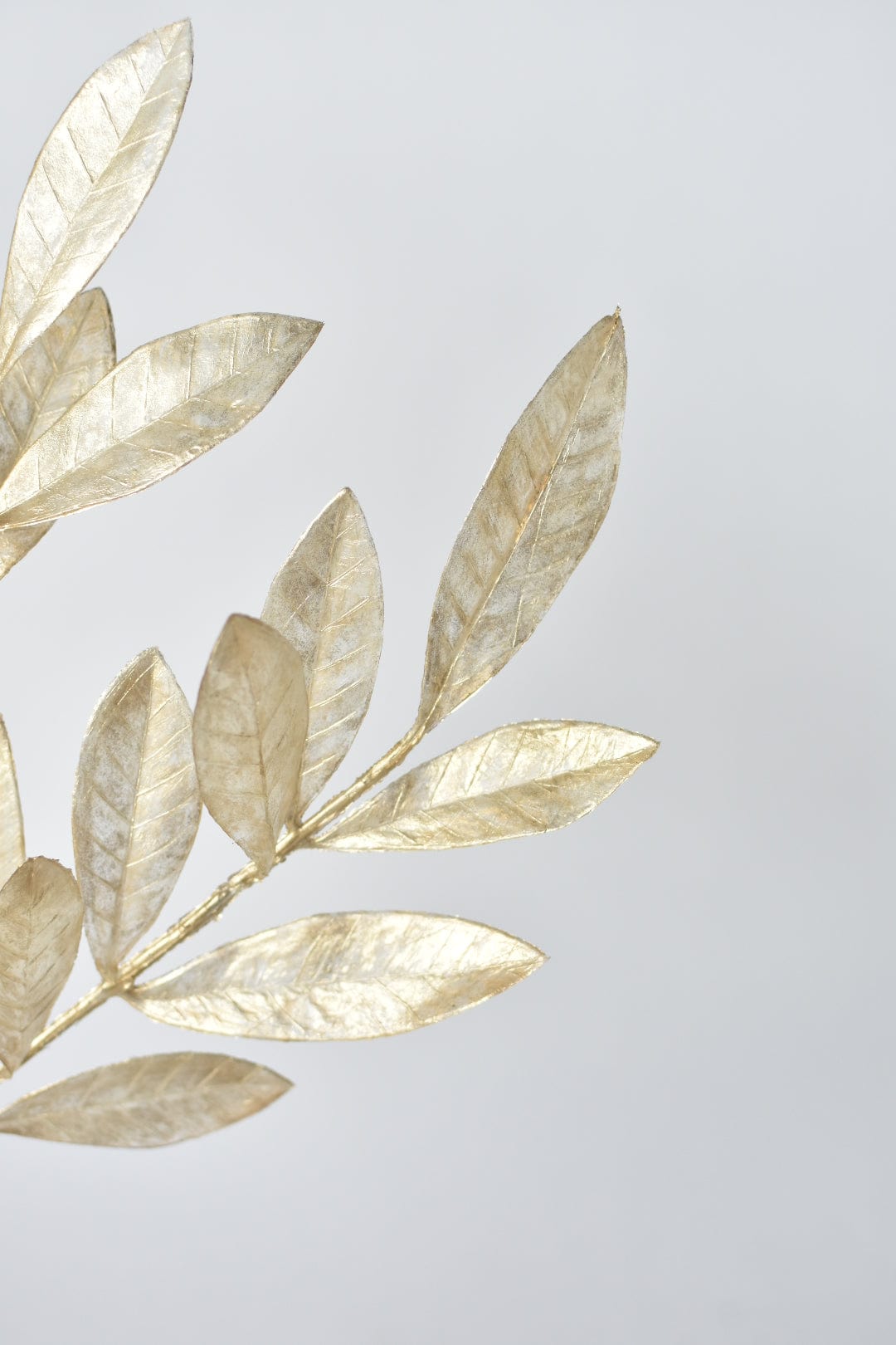 23" Faux Gold Capiz Bay Leaf Stem