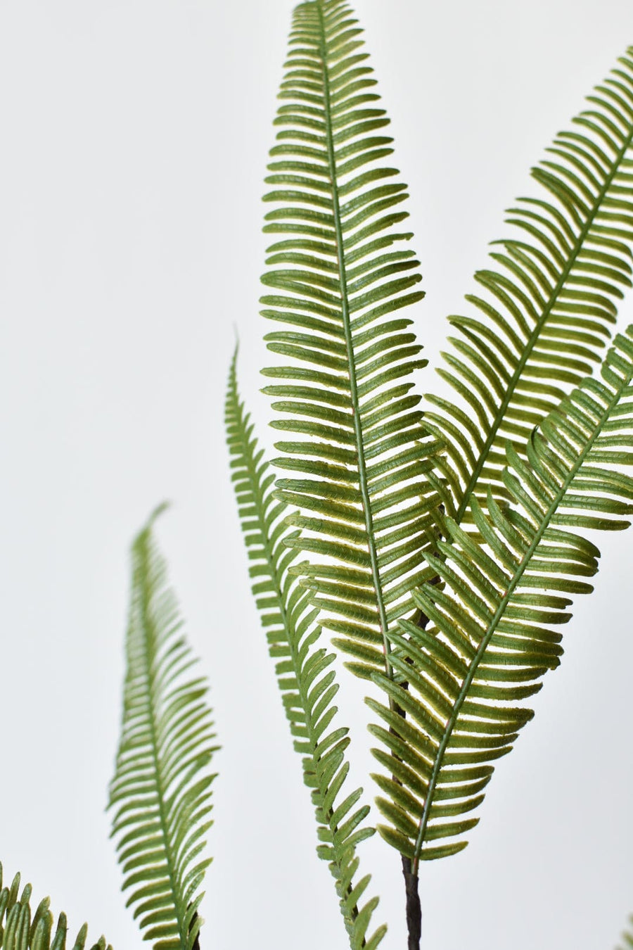 29" Faux Flat Fern Stem