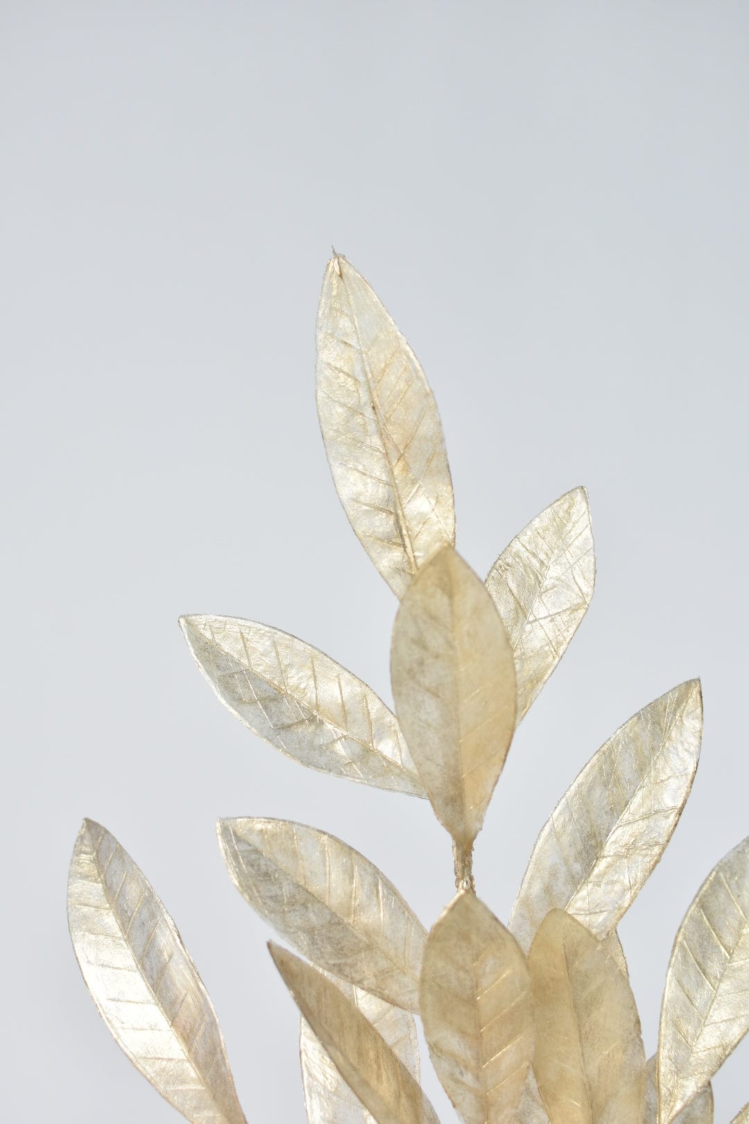 23" Faux Gold Capiz Bay Leaf Stem