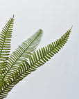29" Faux Flat Fern Stem