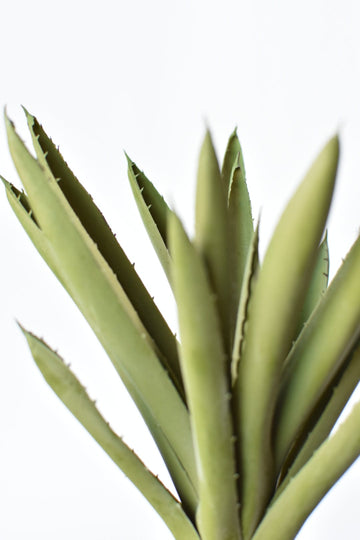 10.5" Faux Realtouch Agave Pick Succulent