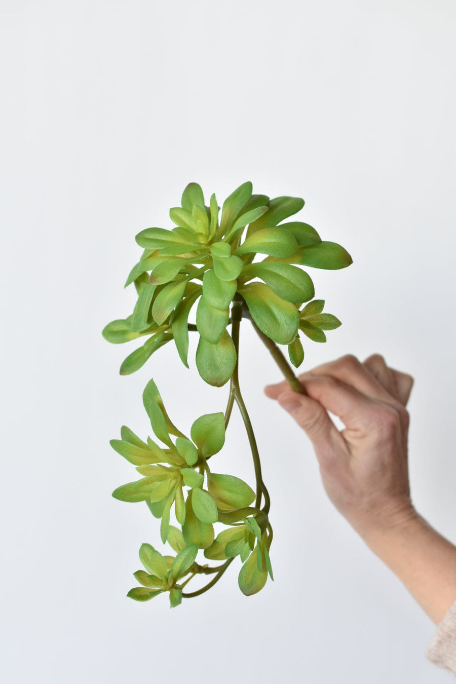 11.5" Faux Trailing Soft Aeonium Spray Stem