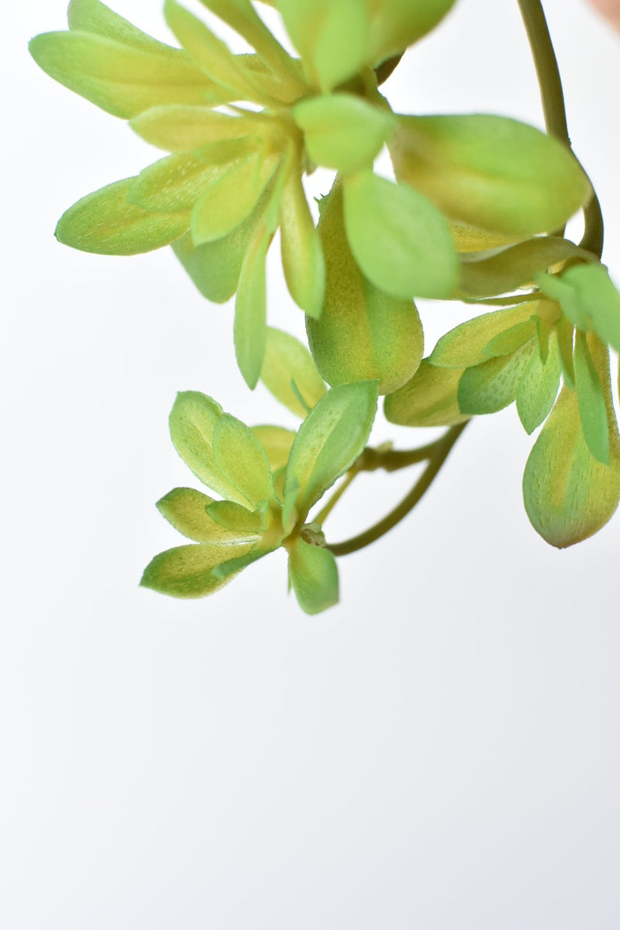 11.5" Faux Trailing Soft Aeonium Spray Stem