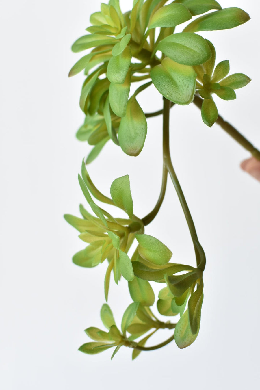 11.5" Faux Trailing Soft Aeonium Spray Stem