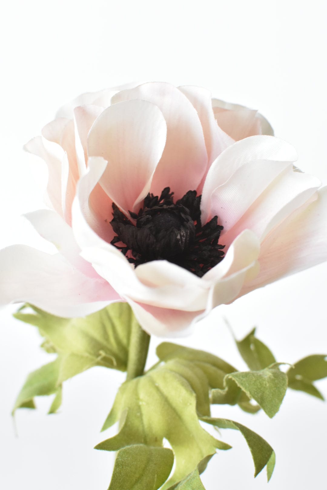 17" Faux Anemone Cream and Pink