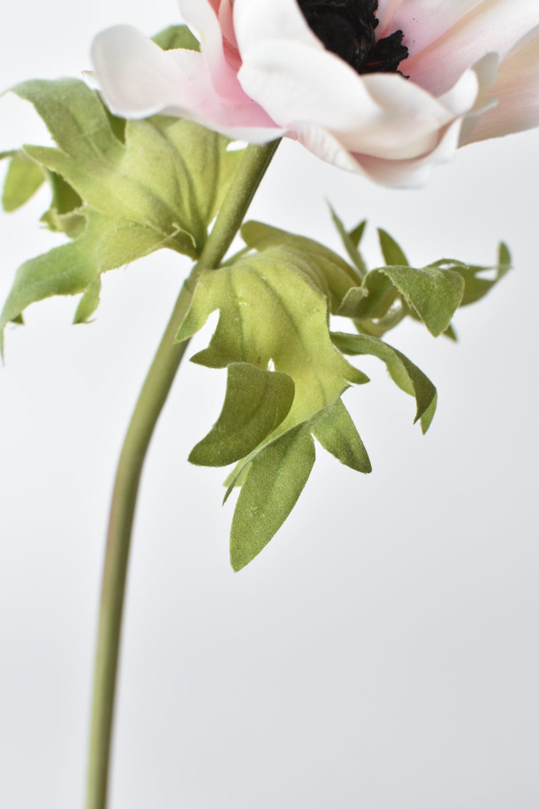 17" Faux Anemone Cream and Pink