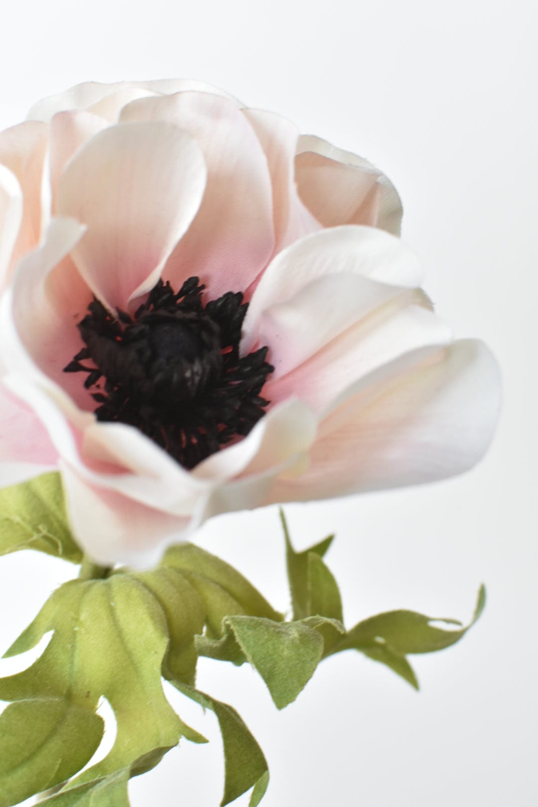 17" Faux Anemone Cream and Pink