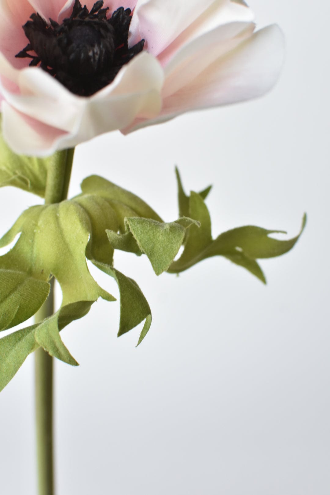 17" Faux Anemone Cream and Pink