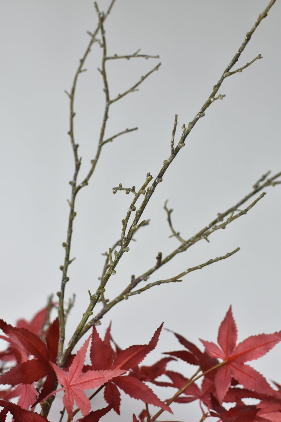 Maple Leaf and Magnolia - Curated Bundle