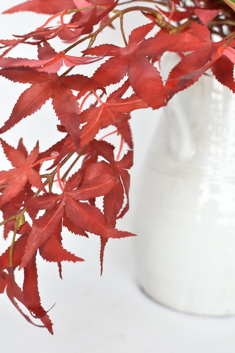Maple Leaf and Magnolia - Curated Bundle