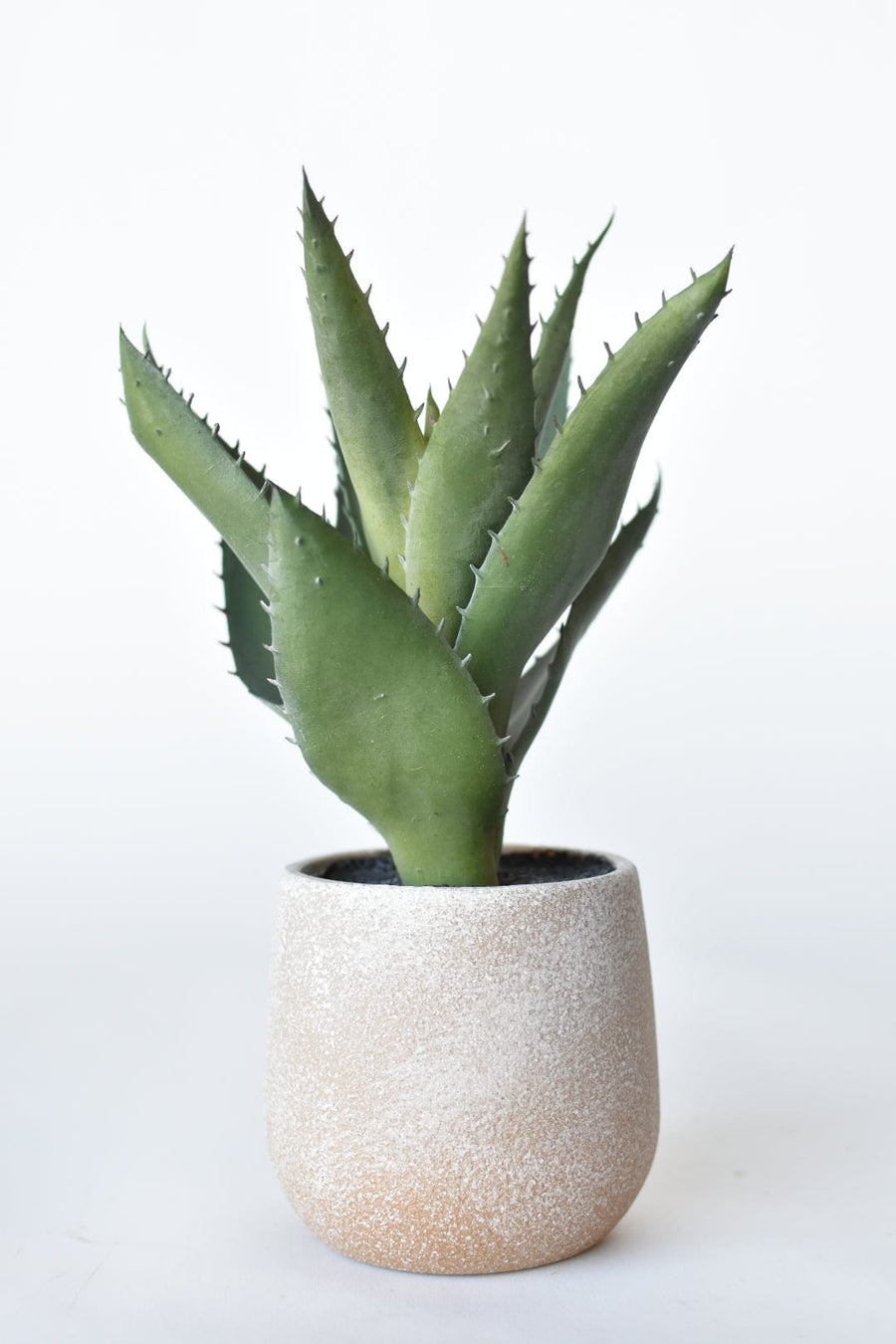 9" Faux Agave Succulent in Pot