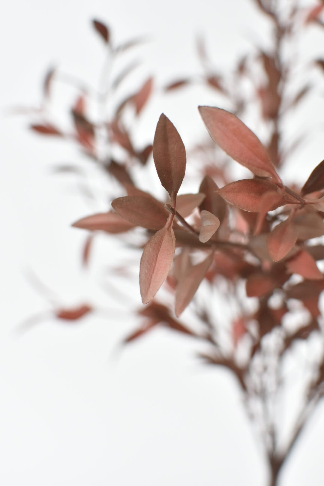 18" Faux Brown Willow Bush