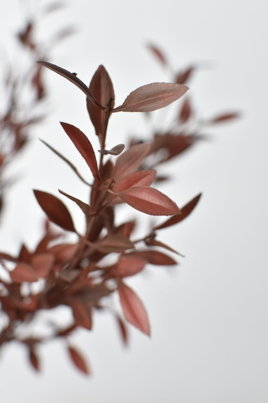 18" Faux Brown Willow Bush