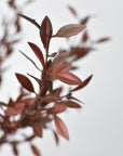 18" Faux Brown Willow Bush