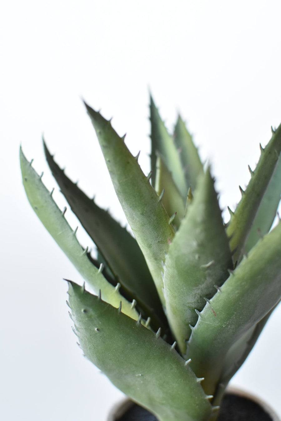 9" Faux Agave Succulent in Pot