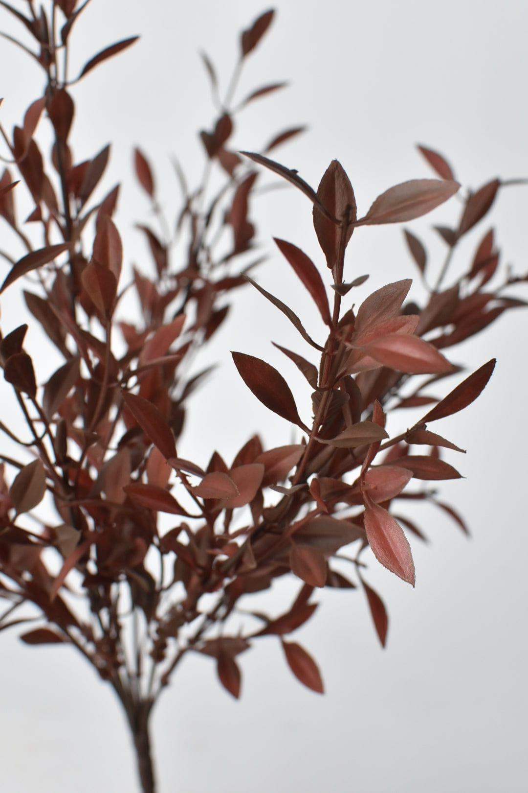 18" Faux Brown Willow Bush