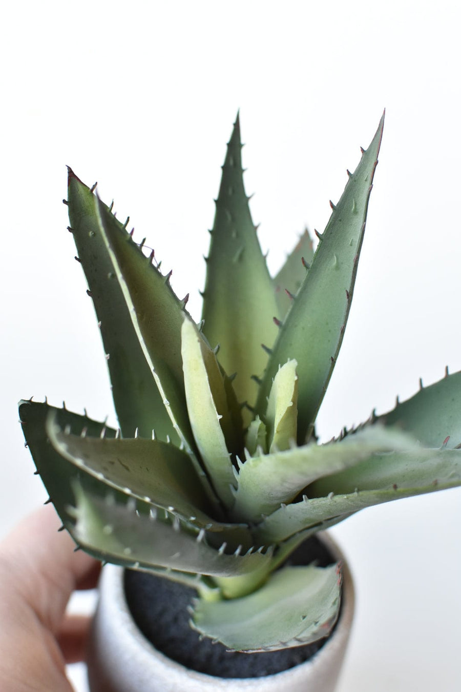 9" Faux Agave Succulent in Pot