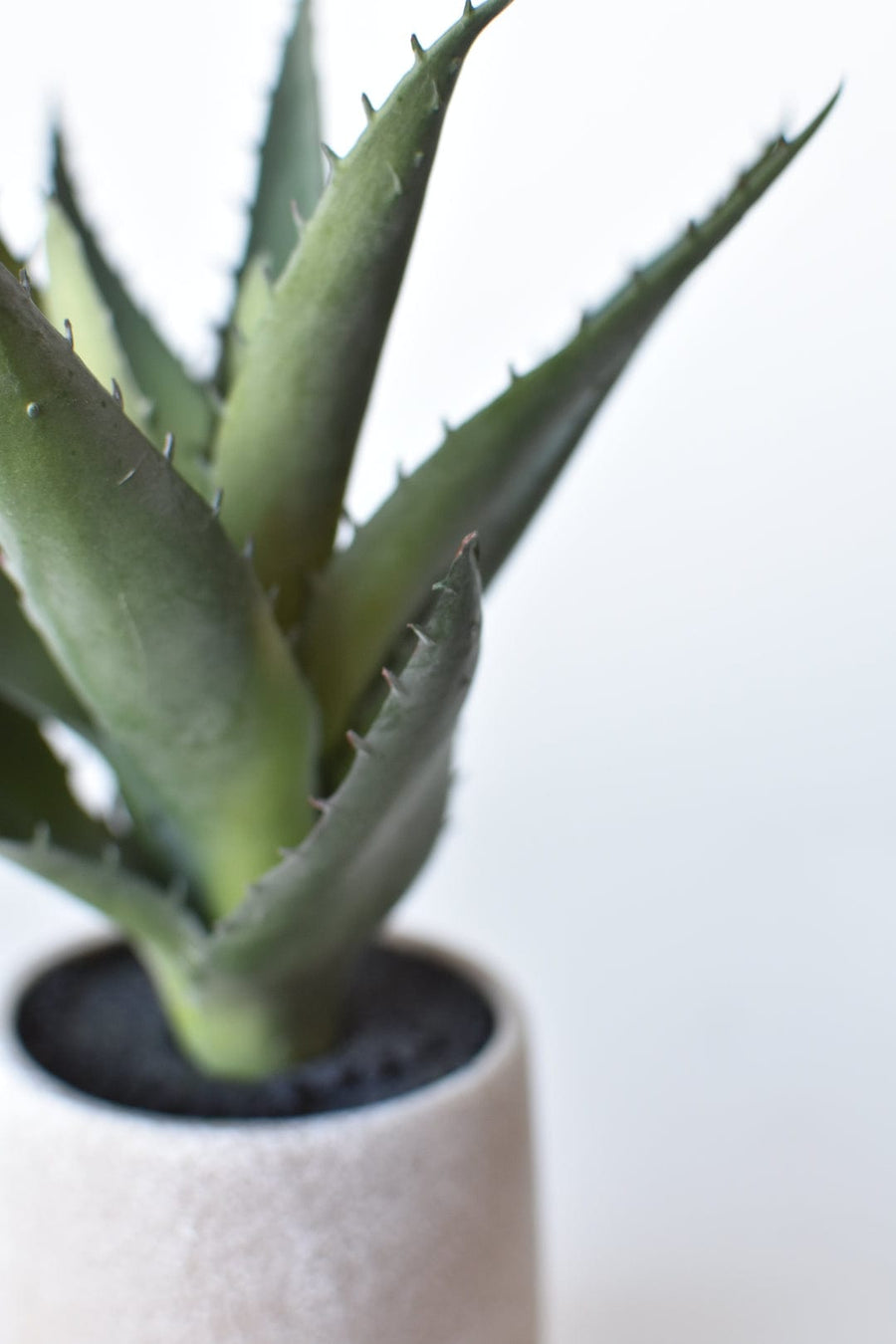 9" Faux Agave Succulent in Pot