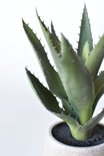 9" Faux Agave Succulent in Pot