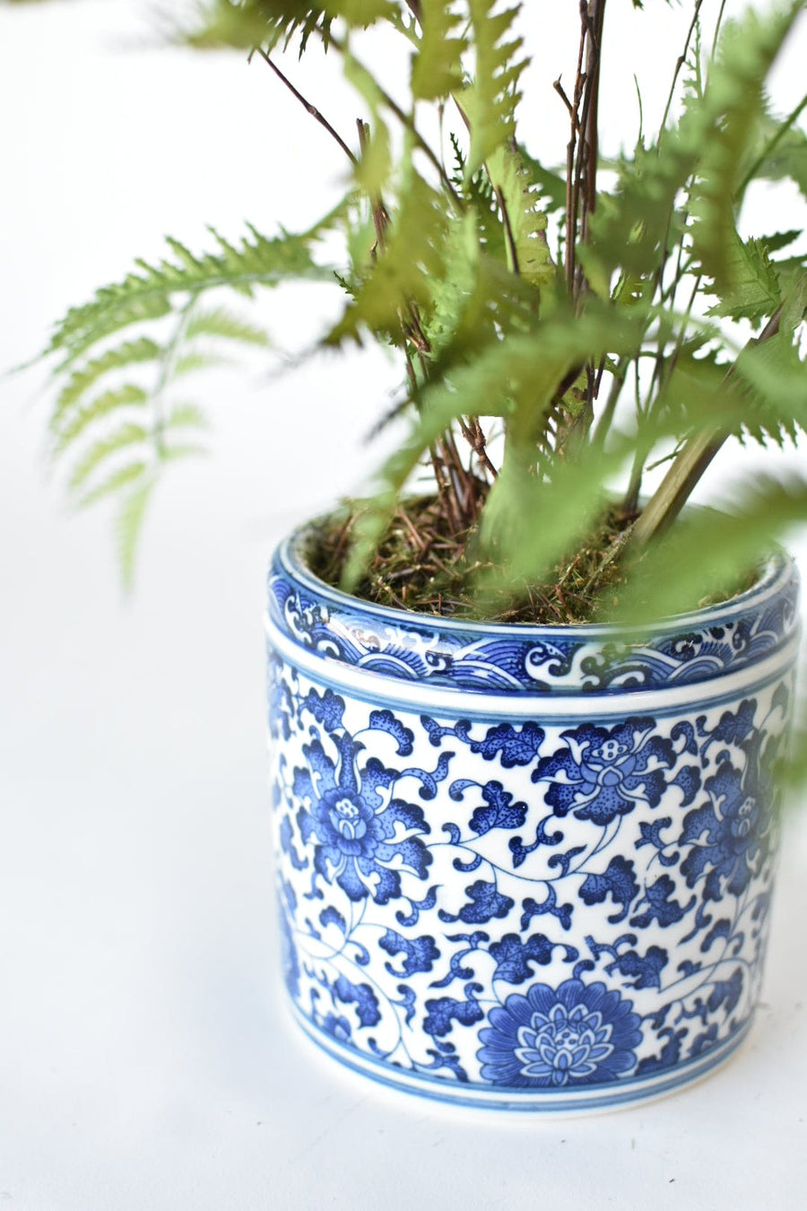 22" Forest Fern in Blue and White Pot