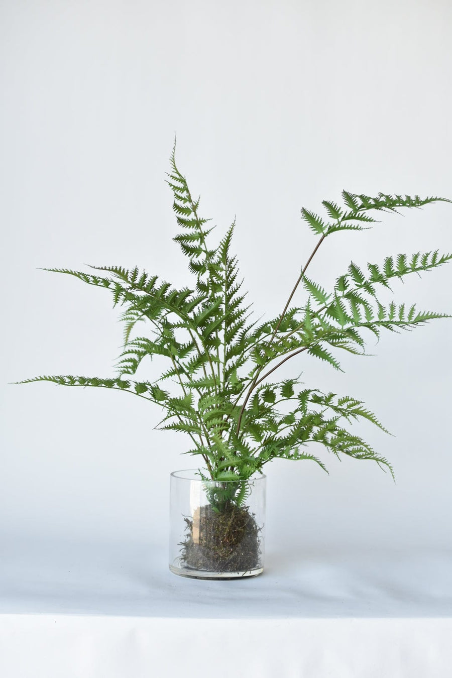 30" Faux Forest Fern in Glass Pot