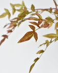 40" Faux Nandina Fall Foliage - Green/Burgundy