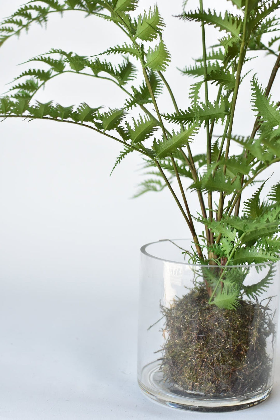 30" Faux Forest Fern in Glass Pot