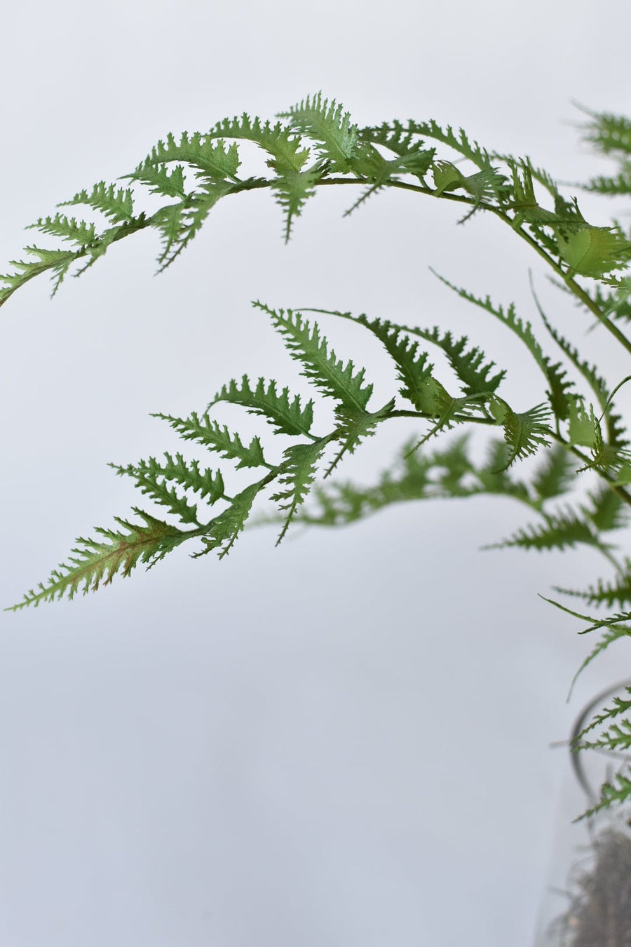 30" Faux Forest Fern in Glass Pot