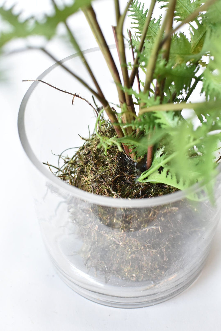 30" Faux Forest Fern in Glass Pot