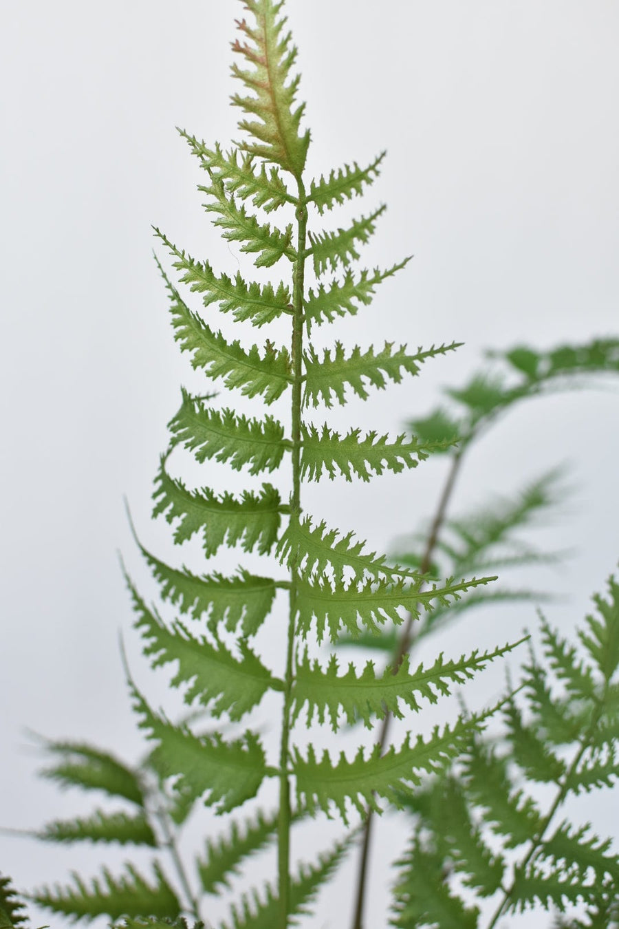 30" Faux Forest Fern in Glass Pot