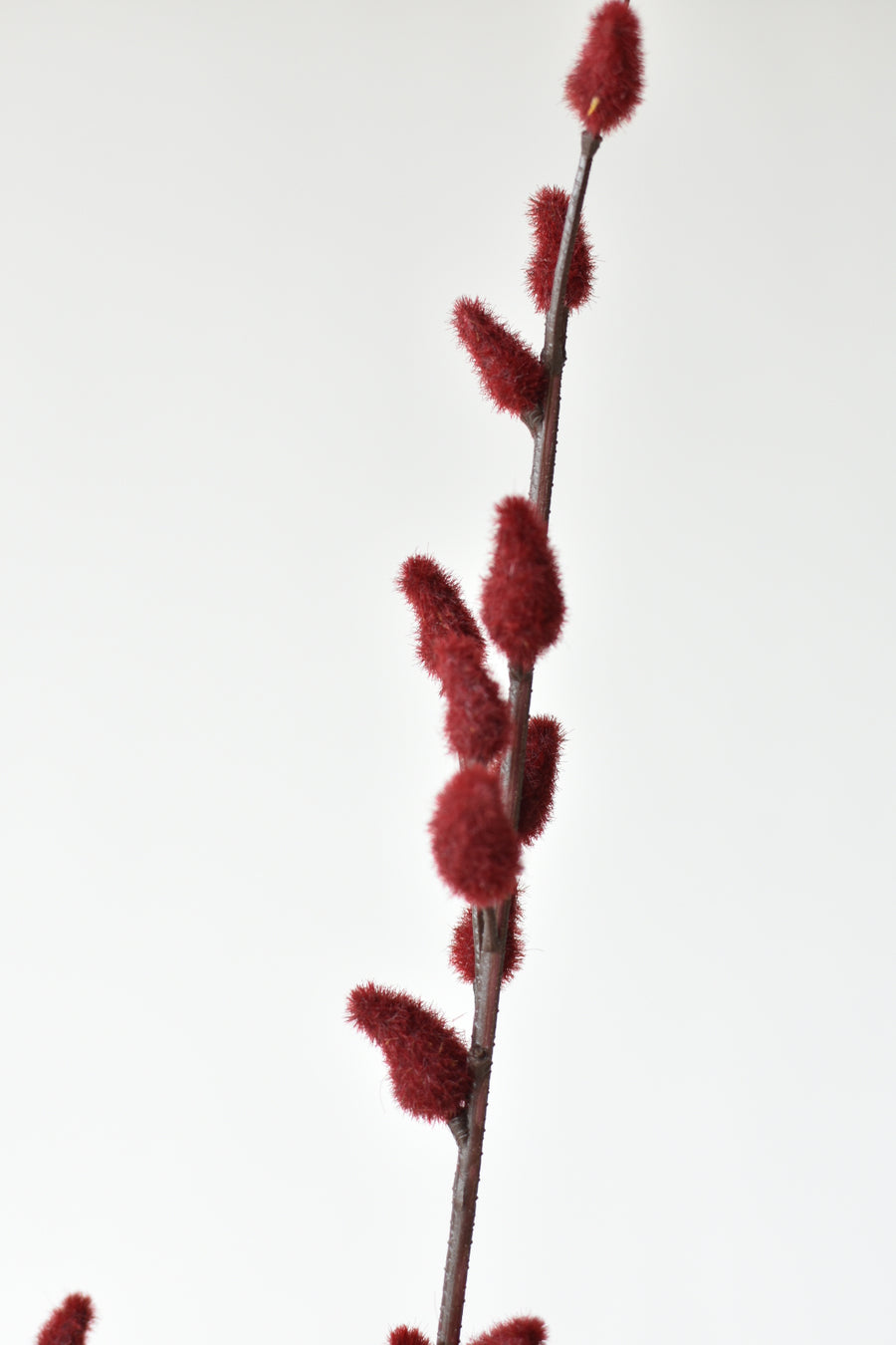 32" Faux Burgundy Pussy Willow Stem Branch