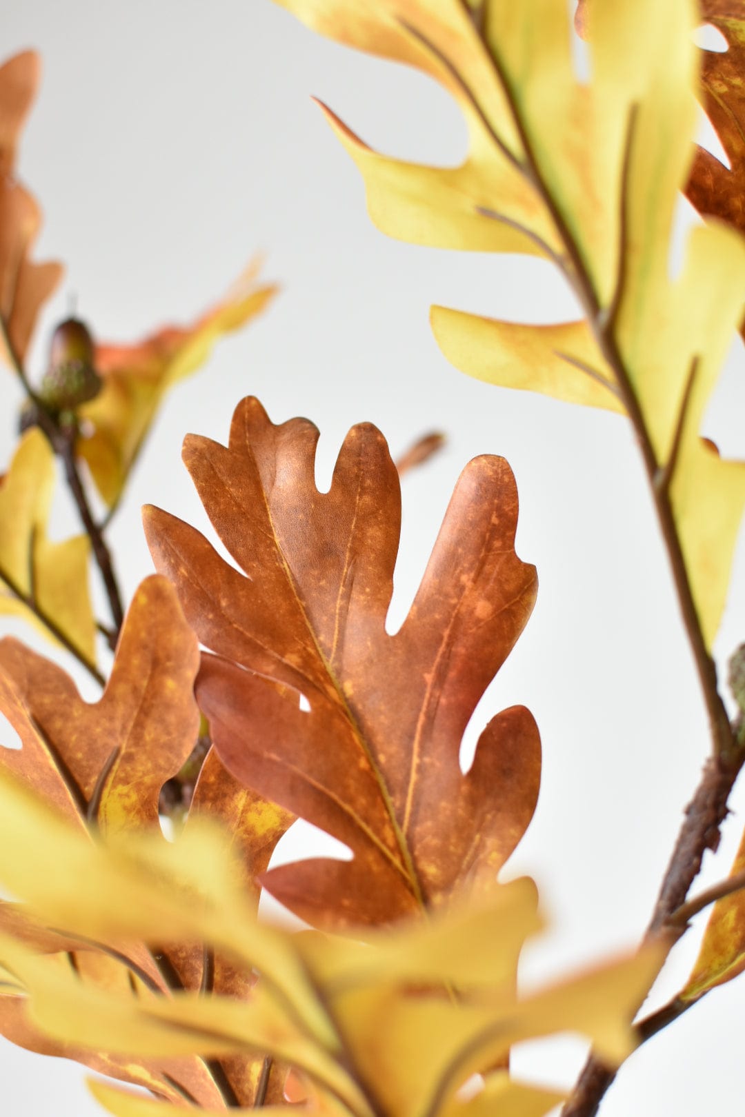 Faux oak branch with brown acorns along the stem