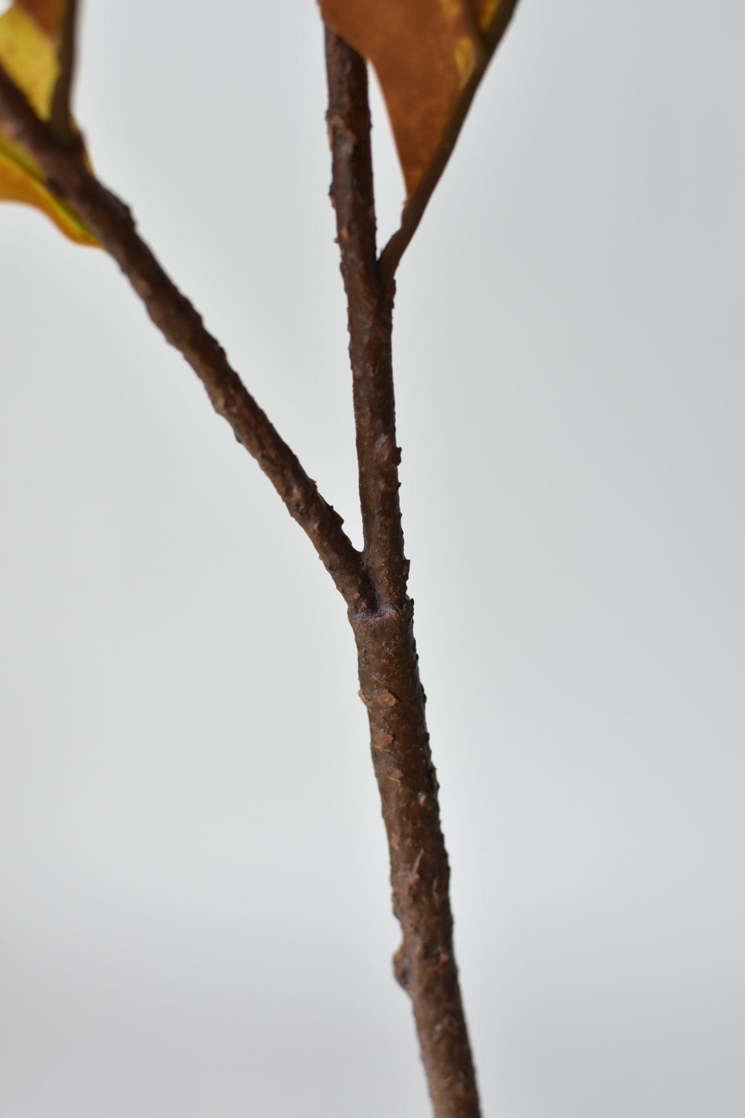 Fall oak leaf branch styled on a console