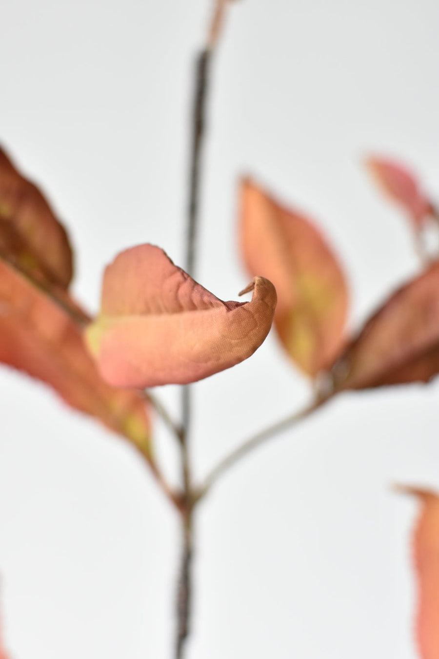 48" Faux Dried Chokeberry Fall Foliage Stem branch - Dried Orange Red