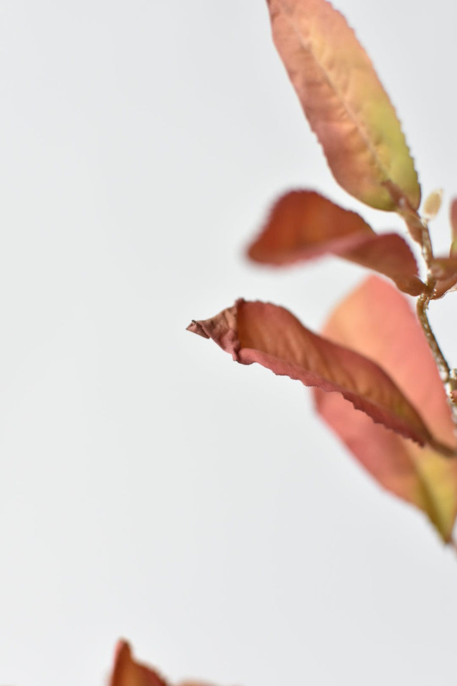 48" Faux Dried Chokeberry Fall Foliage Stem branch - Dried Orange Red