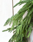 60" RealTouch Norfolk Pine Garland