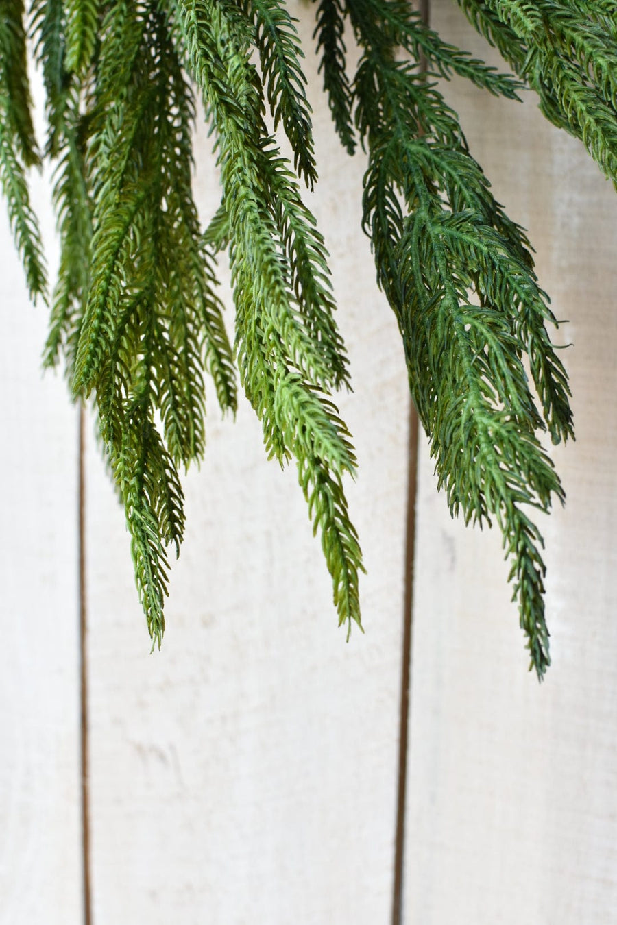 15' (180 inches) RealTouch HouseFloral Norfolk Pine Garland