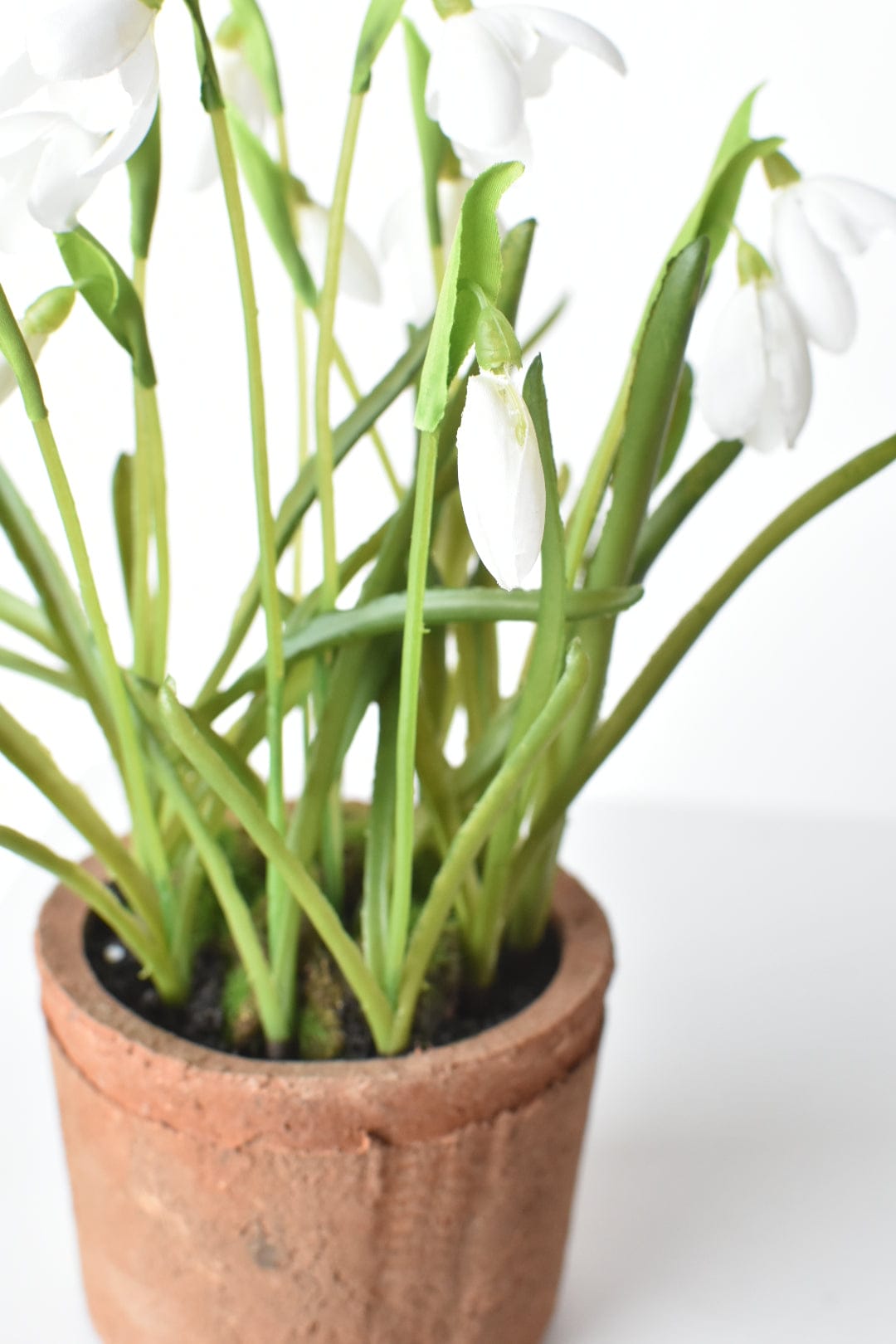 9.5" Faux Snowdrop it Terracotta Planter Arrangement