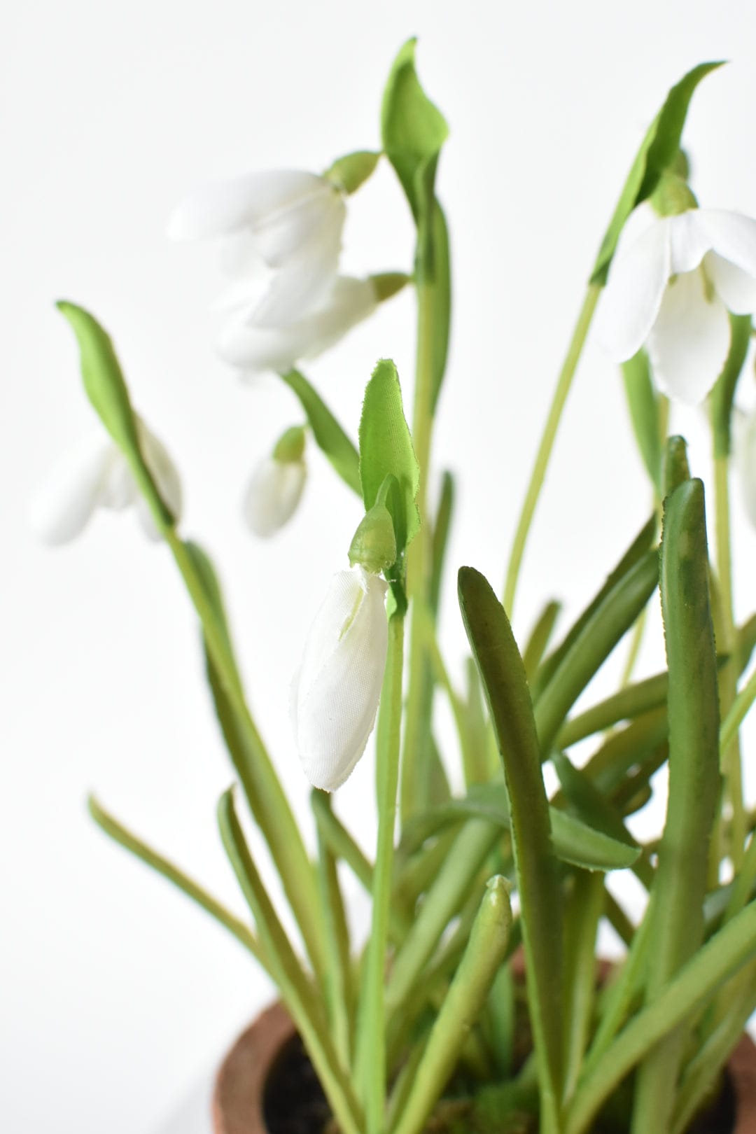 9.5" Faux Snowdrop it Terracotta Planter Arrangement