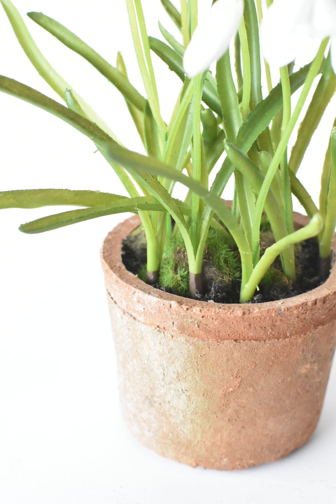 9.5" Faux Snowdrop it Terracotta Planter Arrangement